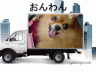 おんわんんんん画像