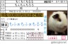 もふぉもふぉmおるる画像