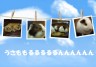 ももうさささっもおっももｍりろん画像