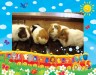 もーーーるるるーーび画像