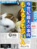もんるるぶぶいん画像