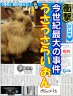 がいおんぶさー画像