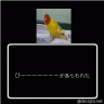 ぴーーーーー画像