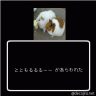 ととともるるるん画像