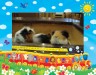 じんにんもちーちょーーーーー画像