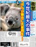 ここここここここここっここっここここここあら