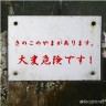 きのこのやま♪