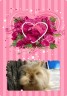 うさじー君