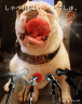 お話しすることは、何もあしましぇん！っていうかしゃべれましぇん。