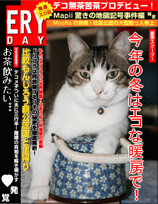 エロイデー - エコな暖房器具？？？