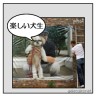 楽しい犬生活でした