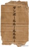 ダンボールの神様画像