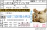 秘密の猫部屋