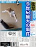 事実は小説より奇なり画像