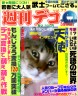 猫画像