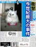 つめみがき画像