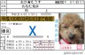 めんきょしょー画像
