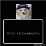 ライオン・ヒカル画像