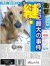 え!?画像