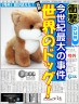 奇跡のおすわり画像