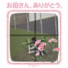えwwwww