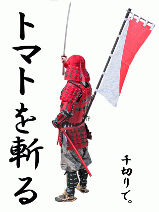 武士の背中 - ＼すいませーん　トマトの千切り入りましたー／
