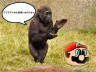 マリオとゴリラ