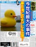 アヒル出現