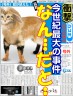 合体動物画像