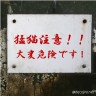 猛猫注意画像