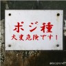 当たり前よなあmp4