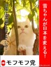 選挙に行こう！Ｂｙモフモフ党画像