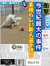 サッカー選手大活躍画像