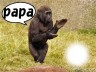 papa➖パパ➖画像
