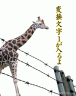 キリン